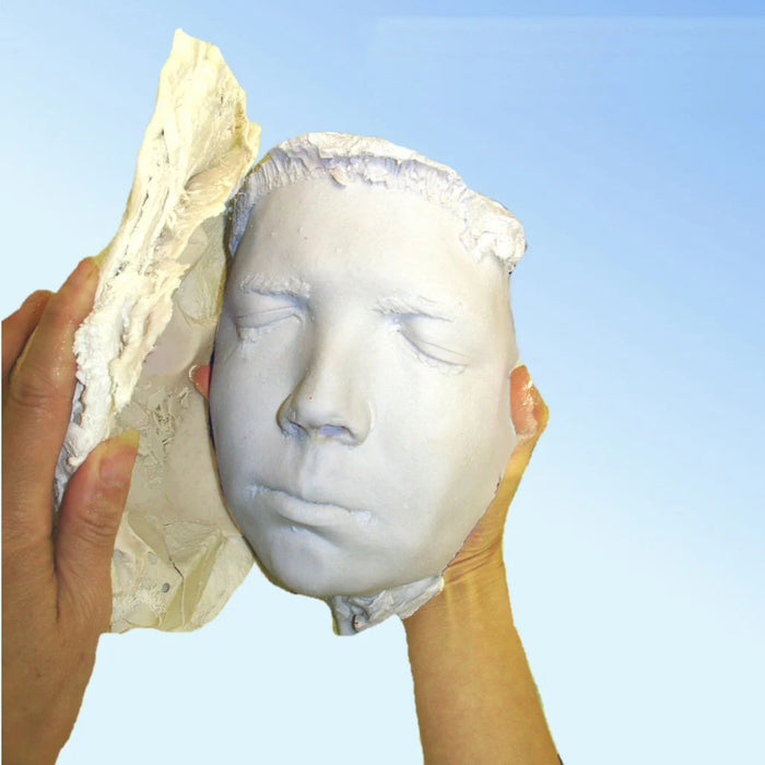 How to Make a Mold: the Basics for Lifecasting and Alginates