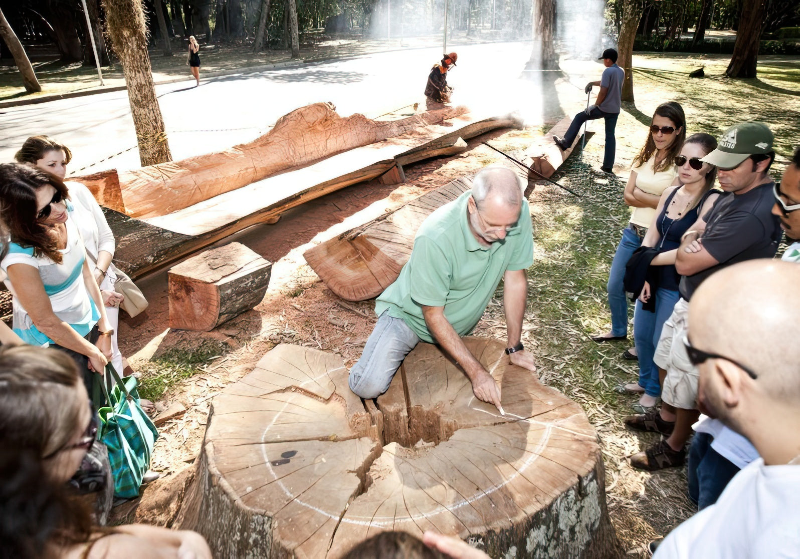 Talented Sculptor Reclaims Brazil’s Rainforest