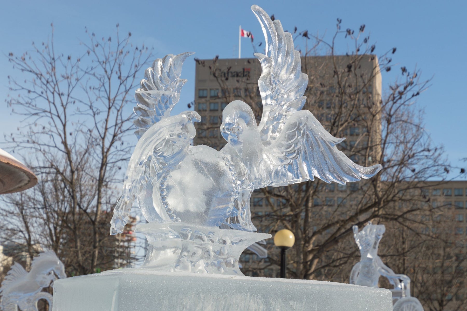 ice sculpture