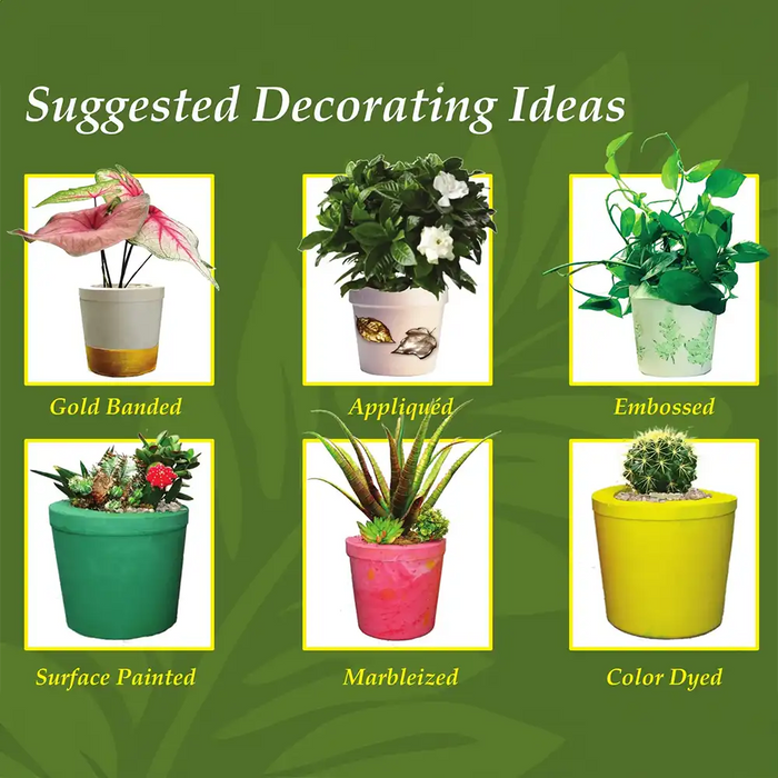 Magic Planting Pot Casting Kit- Make a Plant a Home