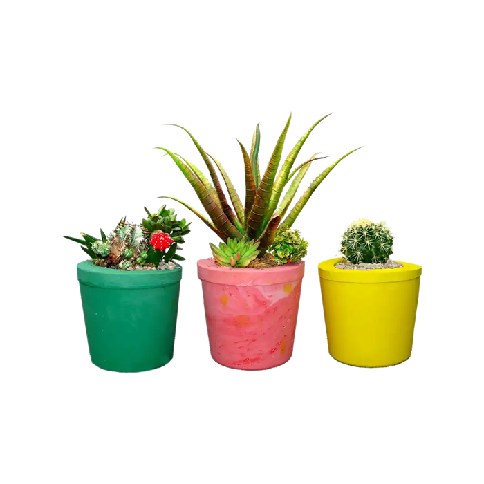 Magic Planting Pot Casting Kit- Make a Plant a Home