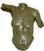 Example 4 using the Front Torso Casting Kit